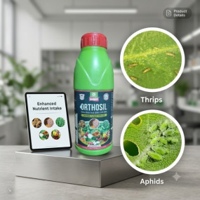 Arthosilicic Acid Kit