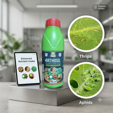 Arthosilicic Acid Kit