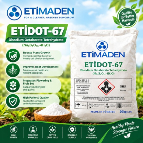 ETIDOT-67 (by ETIMADEN