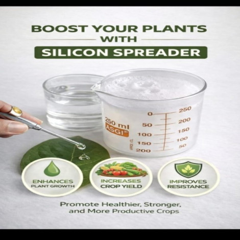 Silicon Spreader