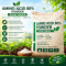 AMINO ACID 80% POWDER (PLANT ORIGIN)