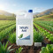 Salicylic Acid
