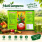 Multi Sampurna (Plant & Soil Developer)